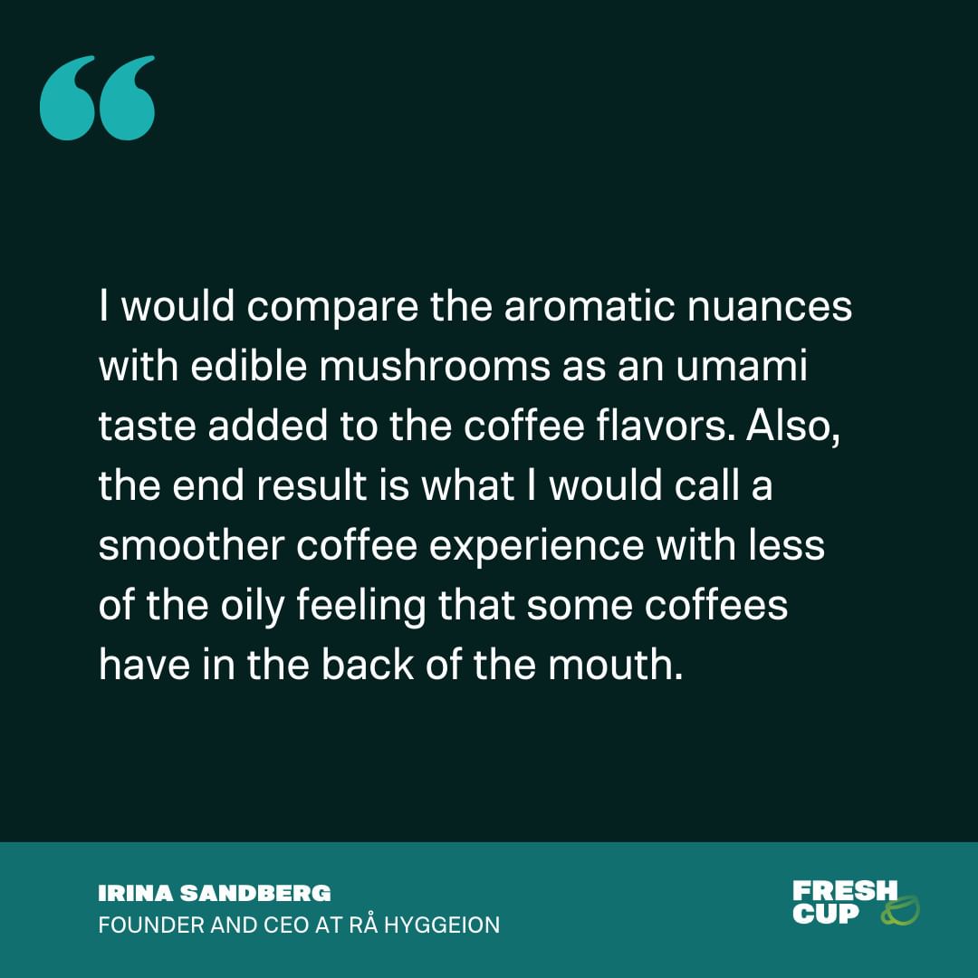 Groundworkcoffe's tweet image. “What are your thoughts on mushroom coffee? 🍄☕️
Functional ingredients—or items with a perceived health benefit—are popping up everywhere, and many direct-to-consumer (DTC) coffee brands and coffee shops sell them.&quot;

#mushroom #coffee #business #learn #coffeebusiness