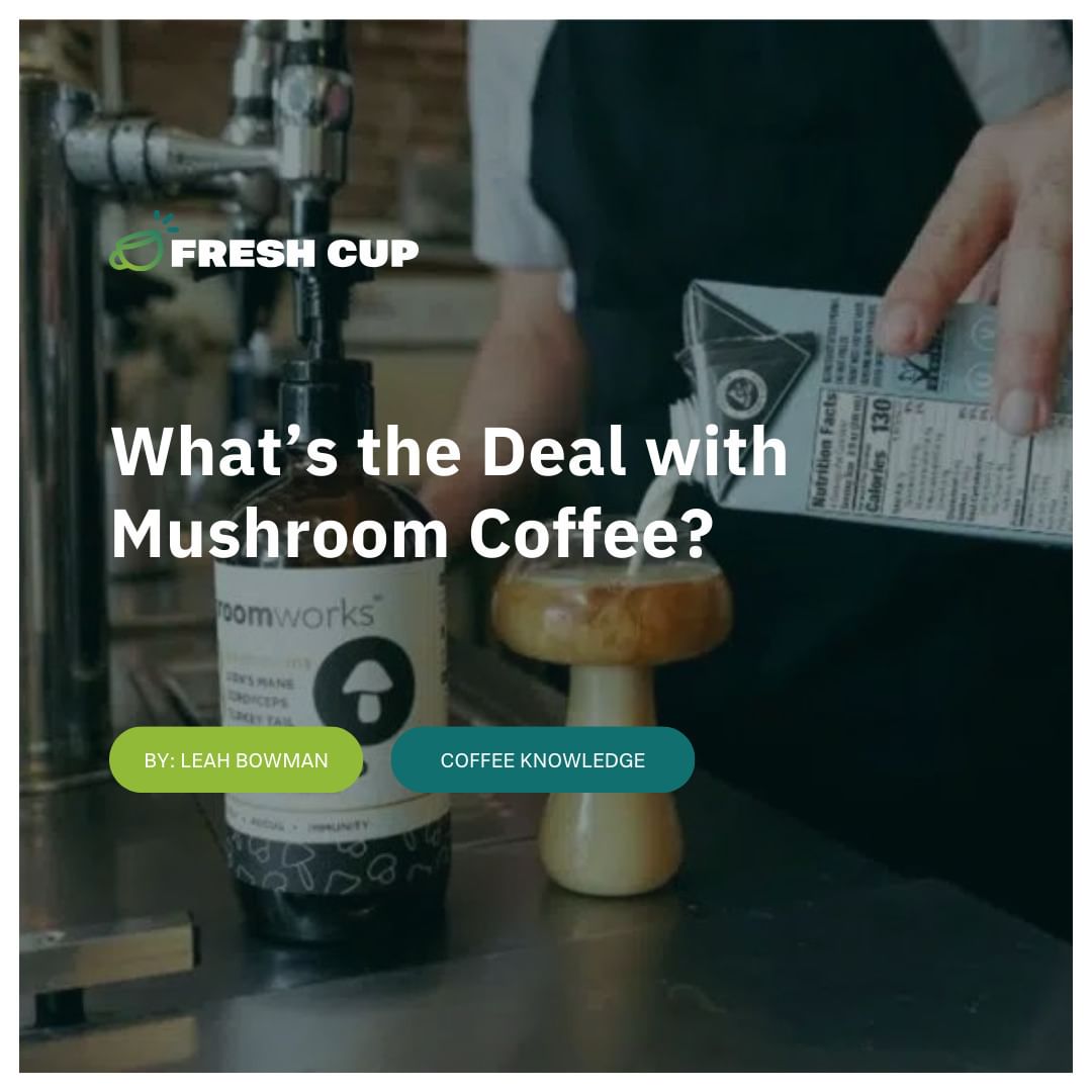 Groundworkcoffe's tweet image. “What are your thoughts on mushroom coffee? 🍄☕️
Functional ingredients—or items with a perceived health benefit—are popping up everywhere, and many direct-to-consumer (DTC) coffee brands and coffee shops sell them.&quot;

#mushroom #coffee #business #learn #coffeebusiness