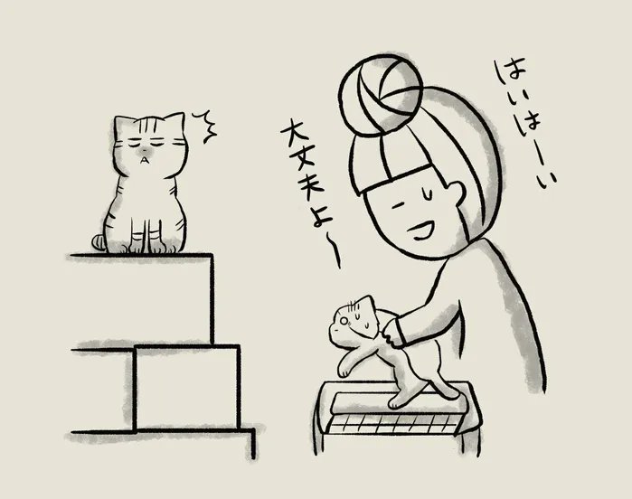 猫6匹との引っ越しは予想以上に大変【連載】交通事故にあった猫を拾いました#129|ねこのきもちWEB MAGAZINE https://t.co/pG3iuckSkd