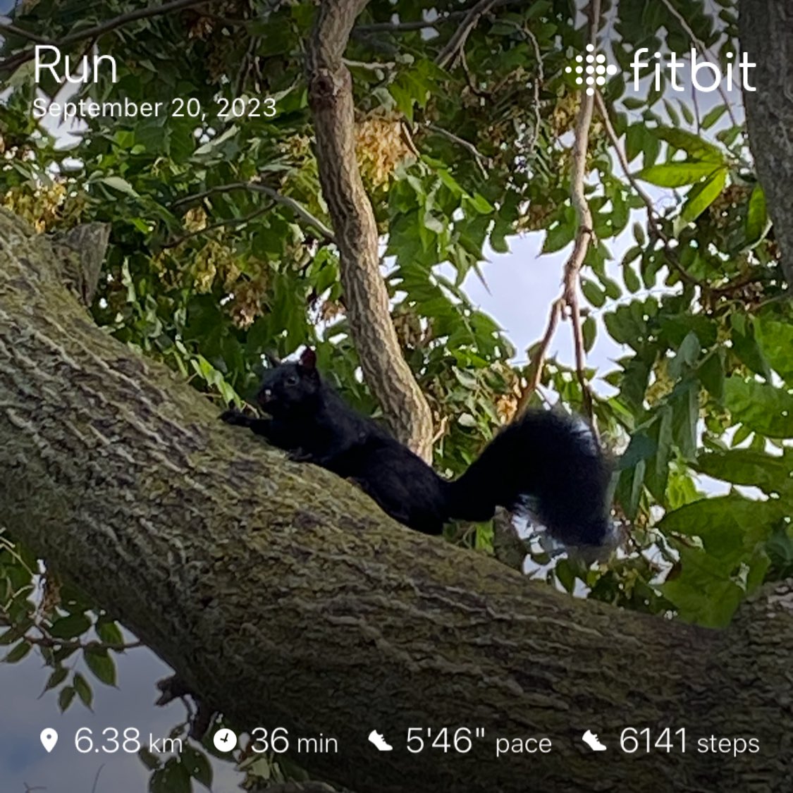 McRun23's tweet photo. #run #running #fitbit #nike #run1 https://t.co/KlH8ElgOR1