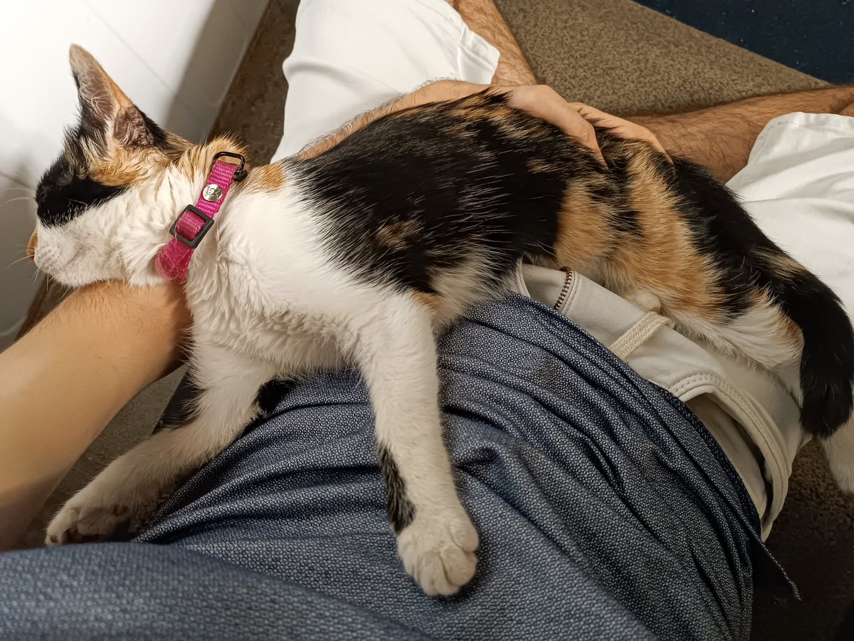 Cryo Delta tweet media