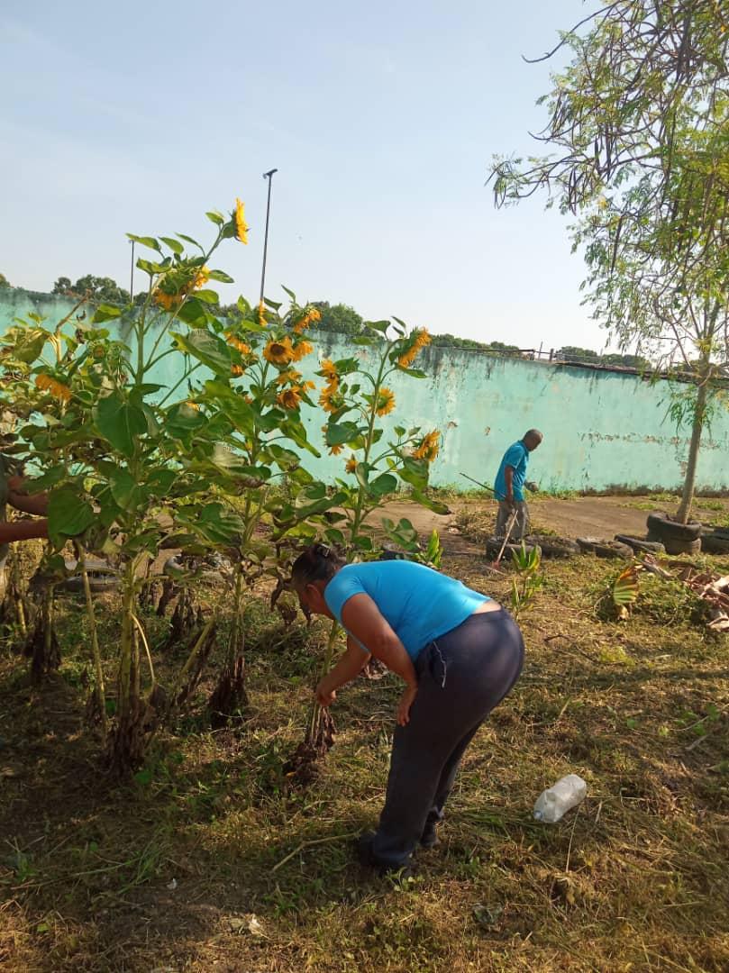 #20Septiembre 

Seguimos activas en la limpieza de los comedor del territorio #Tacarigua las cocineras limpiando sus patios productivos  👩🏻‍🍳👨🏻‍🍳

<a href="/_LaAvanzadora/">Yelitze Santaella</a> <a href="/pedrodiazg59/">Pedro Diaz</a> <a href="/cnaecarabobo/">CNAE Carabobo 🦇🔟</a> <a href="/cnaeoficial/">cnaeoficial</a> 

#SeAcaboTocoron
