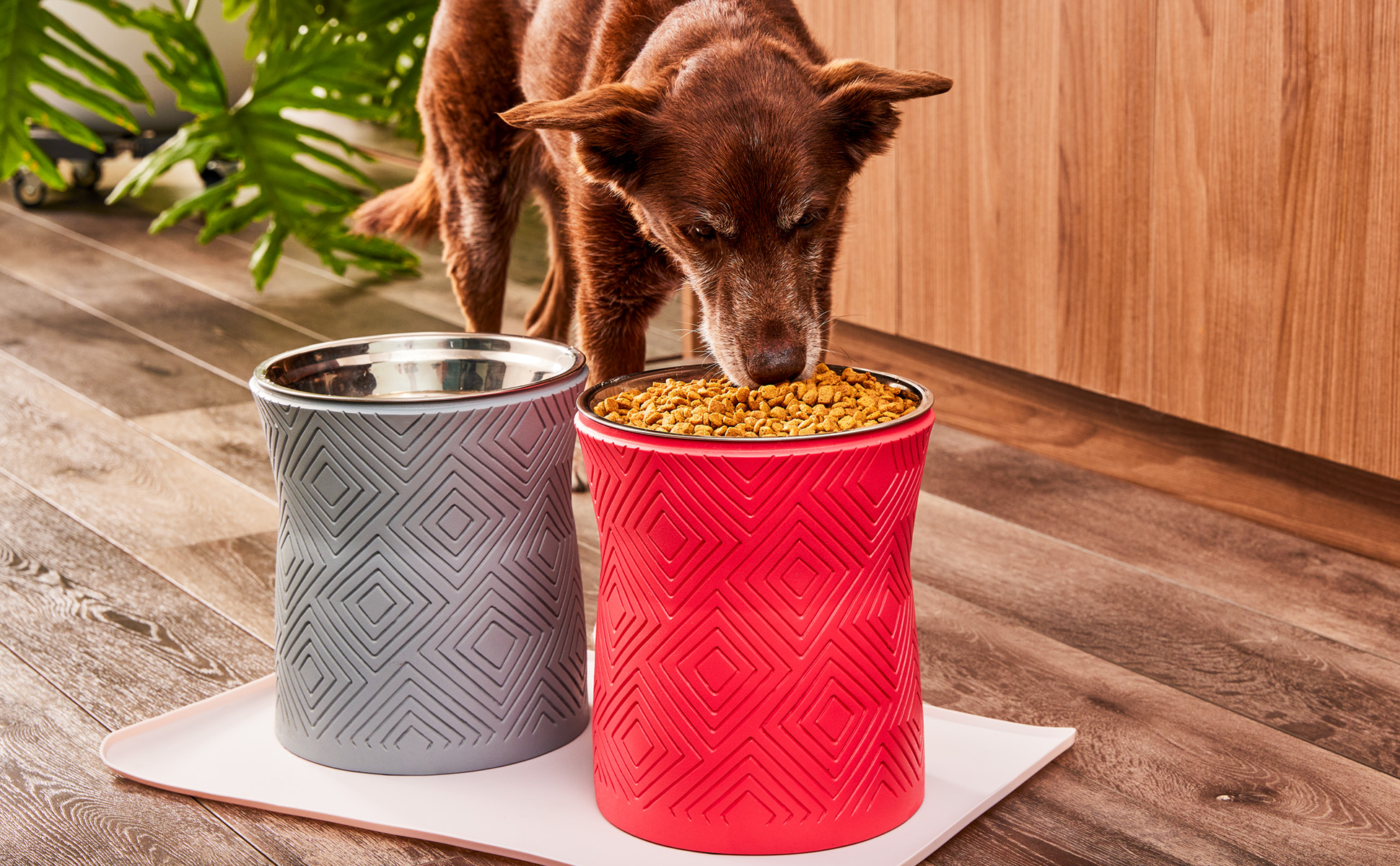 Pet Junkie Modern Elevated Dog Bowl - Santa Fe Pet Feeder