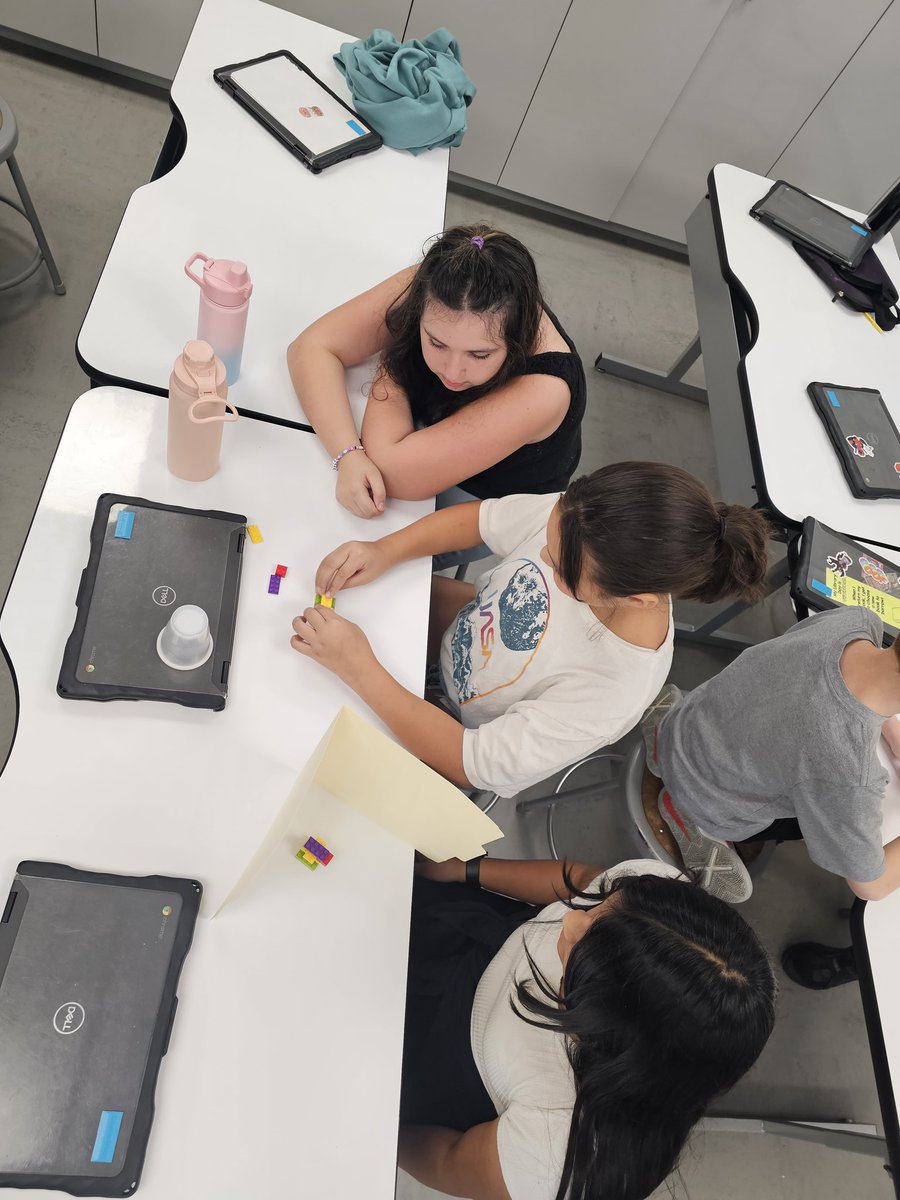 Elizabeth Andreassi tweet media