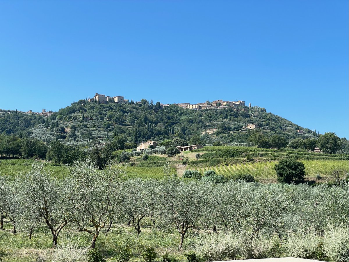 treve_ring's tweet photo. In Montalcino : Canalicchio di Sopra, and a lay of the land #Montosoli 

https://t.co/1btAE0esog

#Brunello 🍇🇮🇹 https://t.co/s7hyJjoWOl