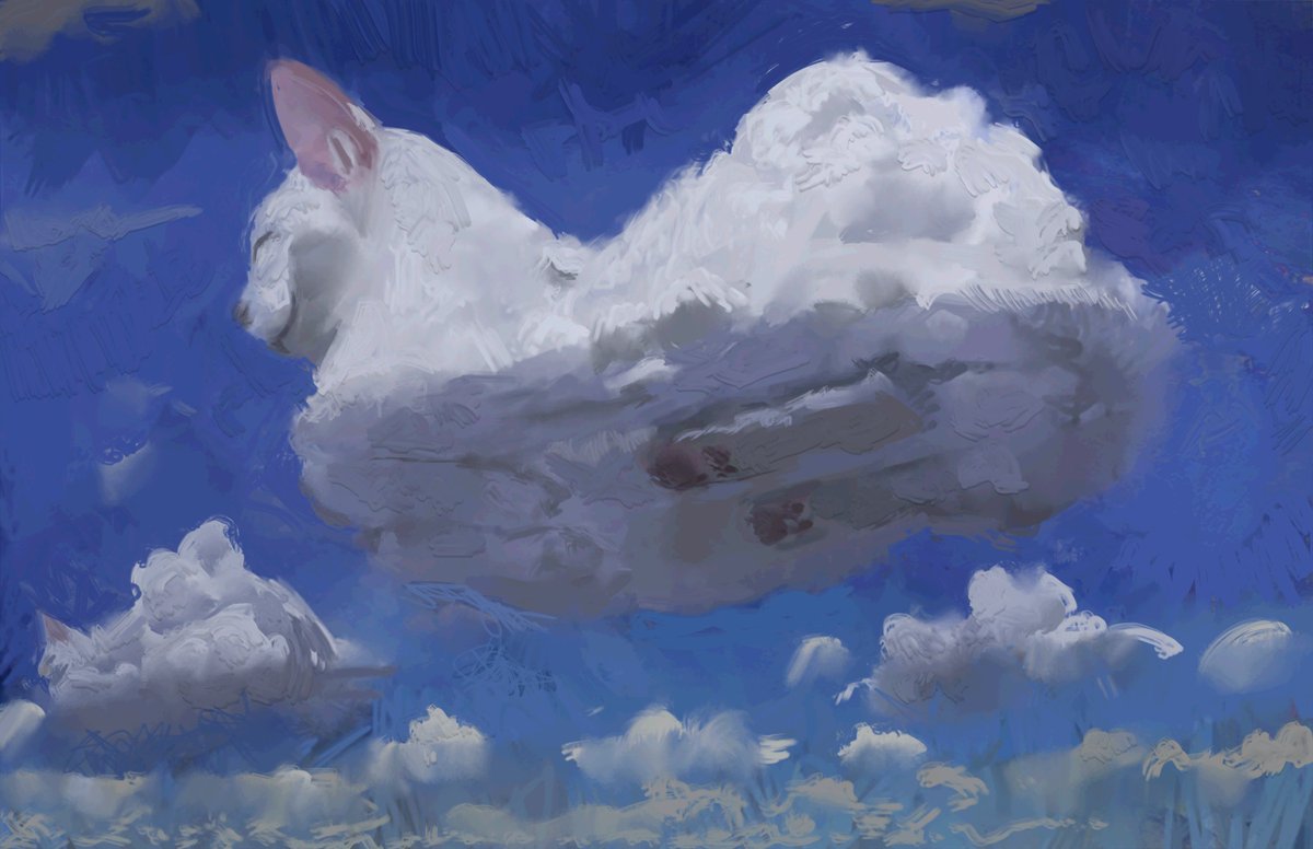 cat cloud