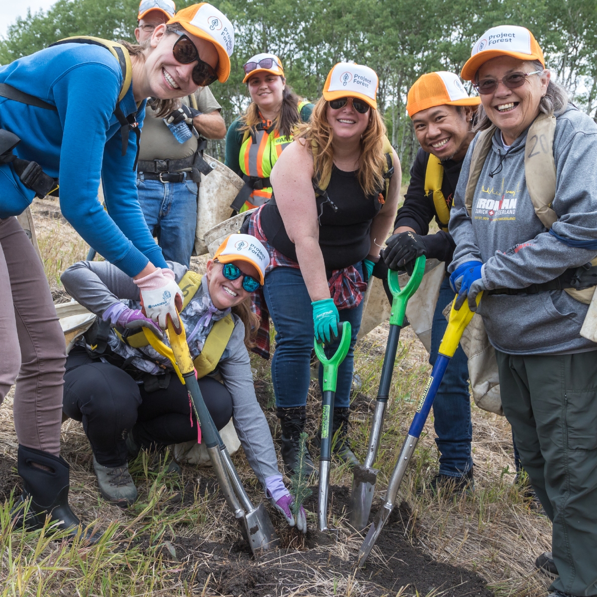 AMAcommunity's tweet image. Today is National Tree Day, and our work continues. With our partnership with #ProjectForest, we are continuing to plant 200,000 trees to help ensure the continued health of forests in Alberta. That&apos;s one hectare for each year of our history.