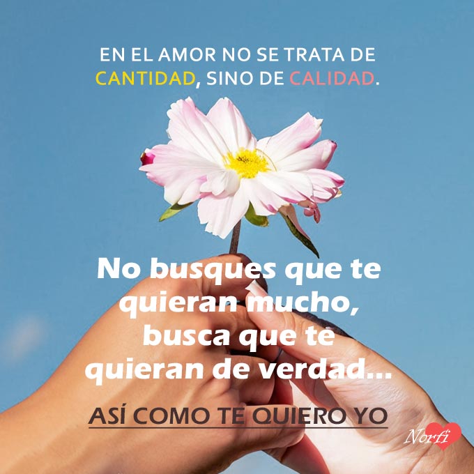 FrasesNorfiPC's tweet image. En el AMOR no se trata de cantidad, sino de calidad. No busques que te quieran mucho, busca que te quieran de verdad… así, como te quiero yo.
norfipc.com/amor/frases-de…
#frasesdeamor
#Amarte
#quererte