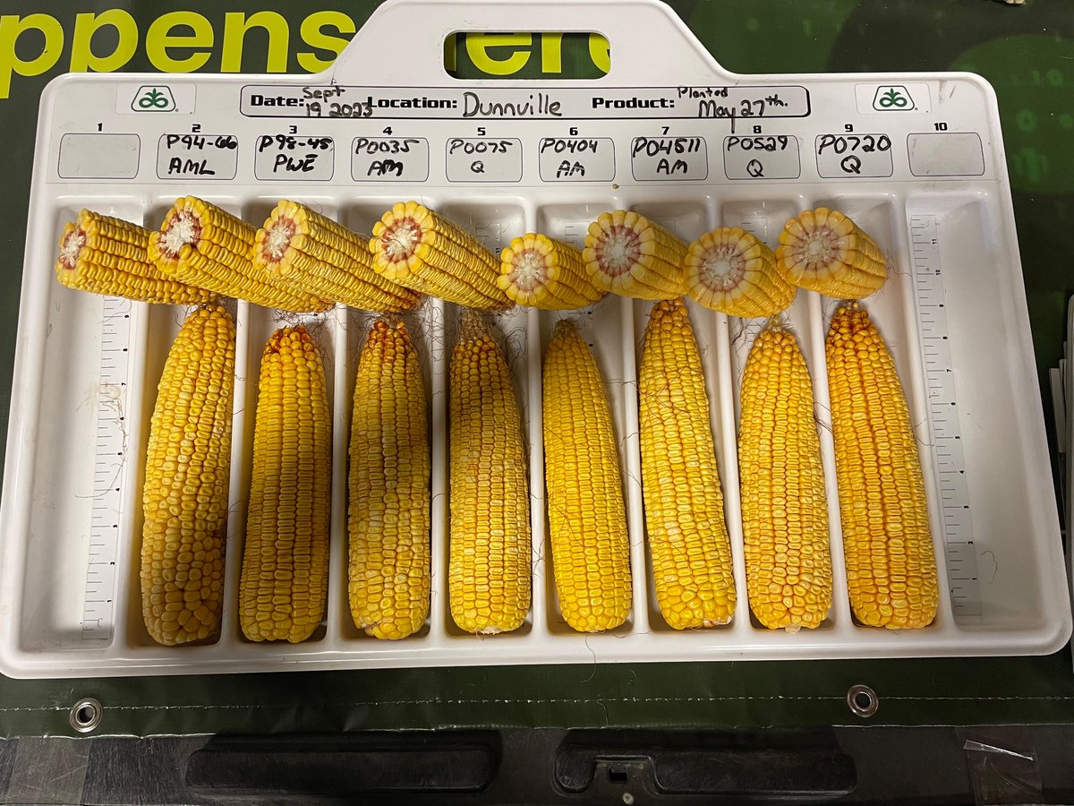 Awesome afternoon with growers discussing the 2024 Pioneer variety line-up, weeds and what’s coming next. #waterhemp  #enlistwinsagain #ontag <a href="/PioneerSeedsCA/">Pioneer Seeds Canada</a>