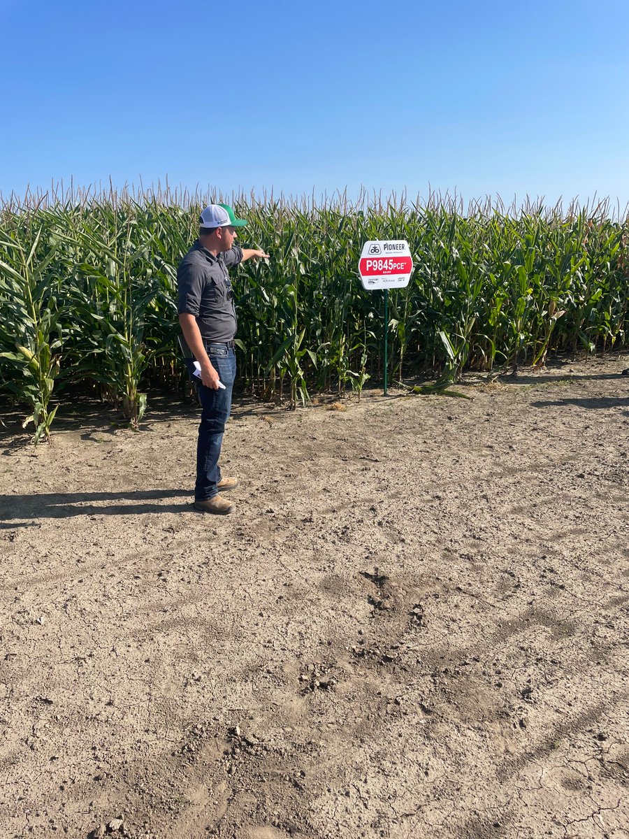 Jake Elgersma tweet media