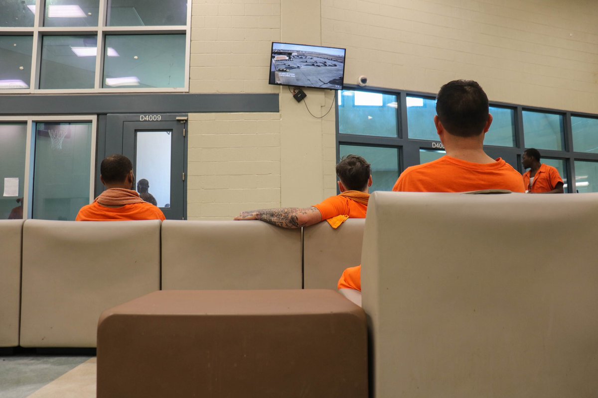 The Lens tweet media