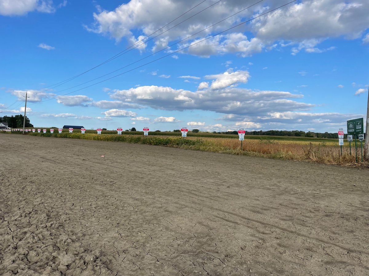 Jake Elgersma tweet media