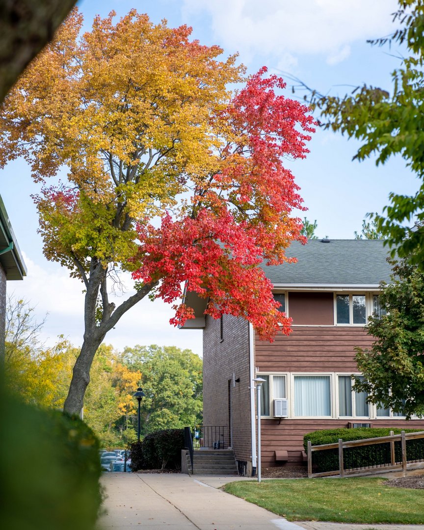 TrinityTroll's tweet photo. Today marks one month until FallFest! Who's excited?! 

Click here for the full list of events ➡️ https://t.co/EodYHcTCUv https://t.co/ibiBADkcWW
