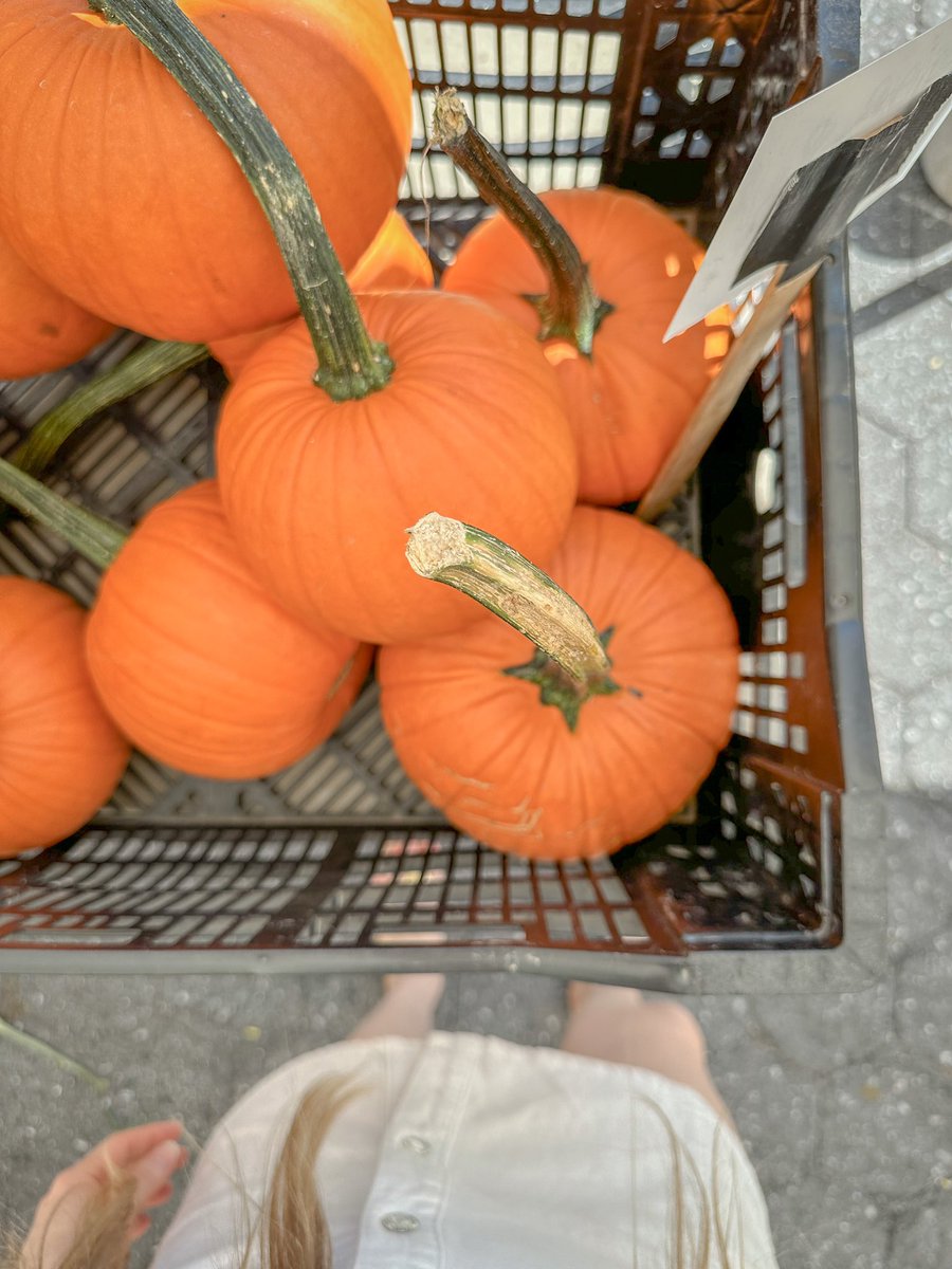 Today at the farmers market ☀️