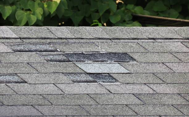 When was the last time your roof needed to be repaired? What was the problem?