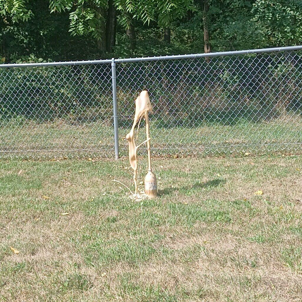 Cooley 2nd Grade tweet media