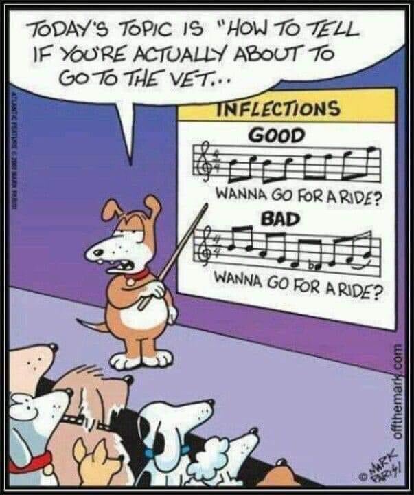 Melissa Rae Stewart (Thouin) tweet media