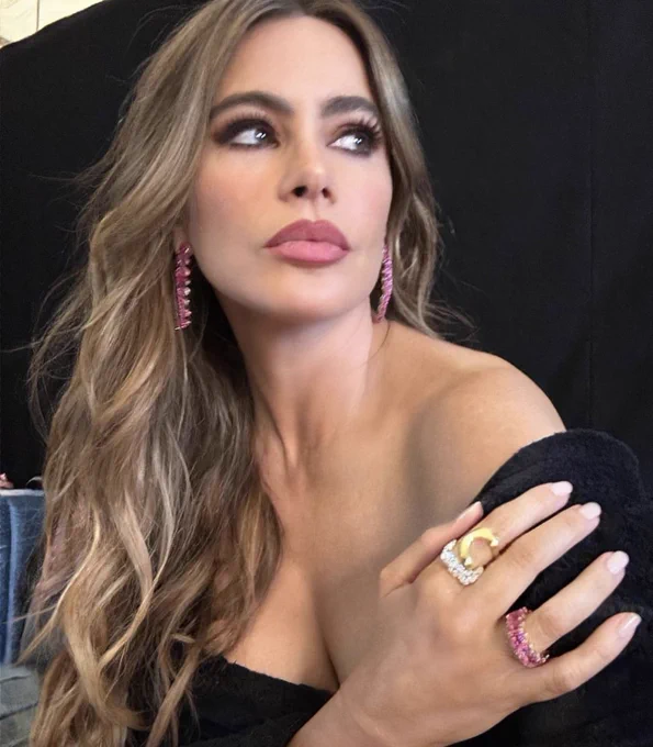 SOFIA VERGARA - Página 3 F6gXaKmawAAqAJ7?format=webp&name=small