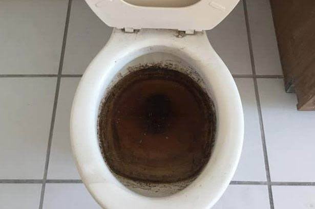 _thecumbucket_'s tweet photo. Just took a mad shit after anal session with my man Adem el etri https://t.co/BIQSzv8Kvp