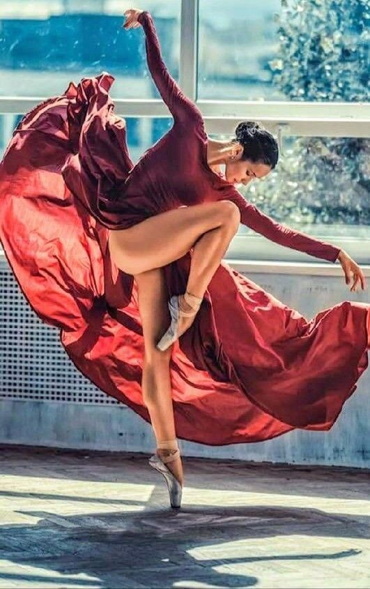 Wild_Coquelicot's tweet photo. ▫️▫️▫️🌺▫️▫️▫️
Why should I be unhappy? 
Every parcel 
of my being 
is in full bloom..

#Rumi #Poems #Poetry #Sufism
#SufiQuotes #JOY
#Happiness #Wellbeing #selflove https://t.co/9eVkhYDhuT