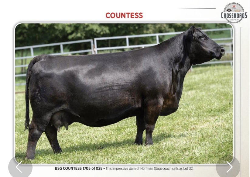 Luke Bowman tweet media