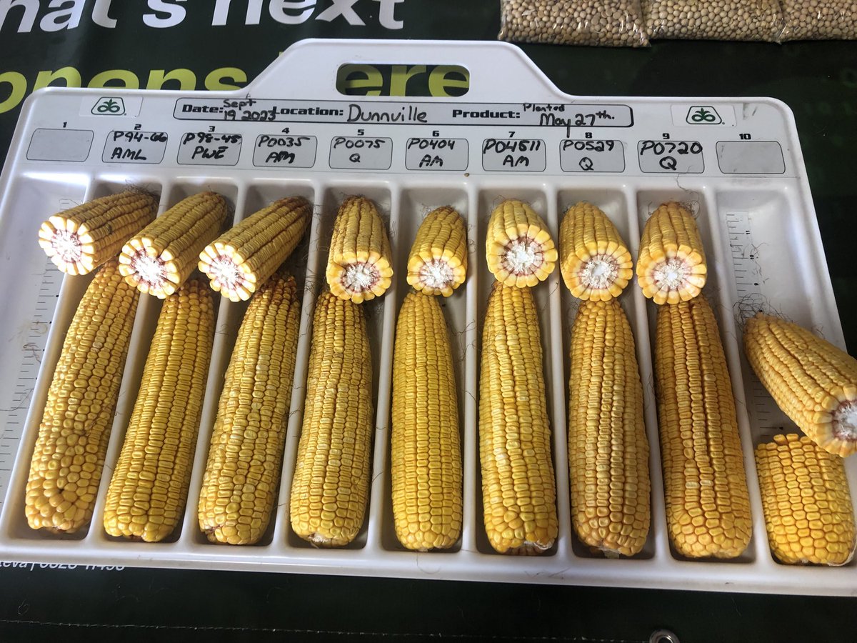 Rodney Ricker tweet media