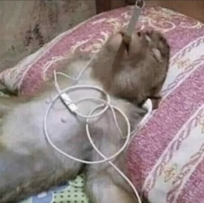 me after strapping the heating pad to my stomach like a bomb