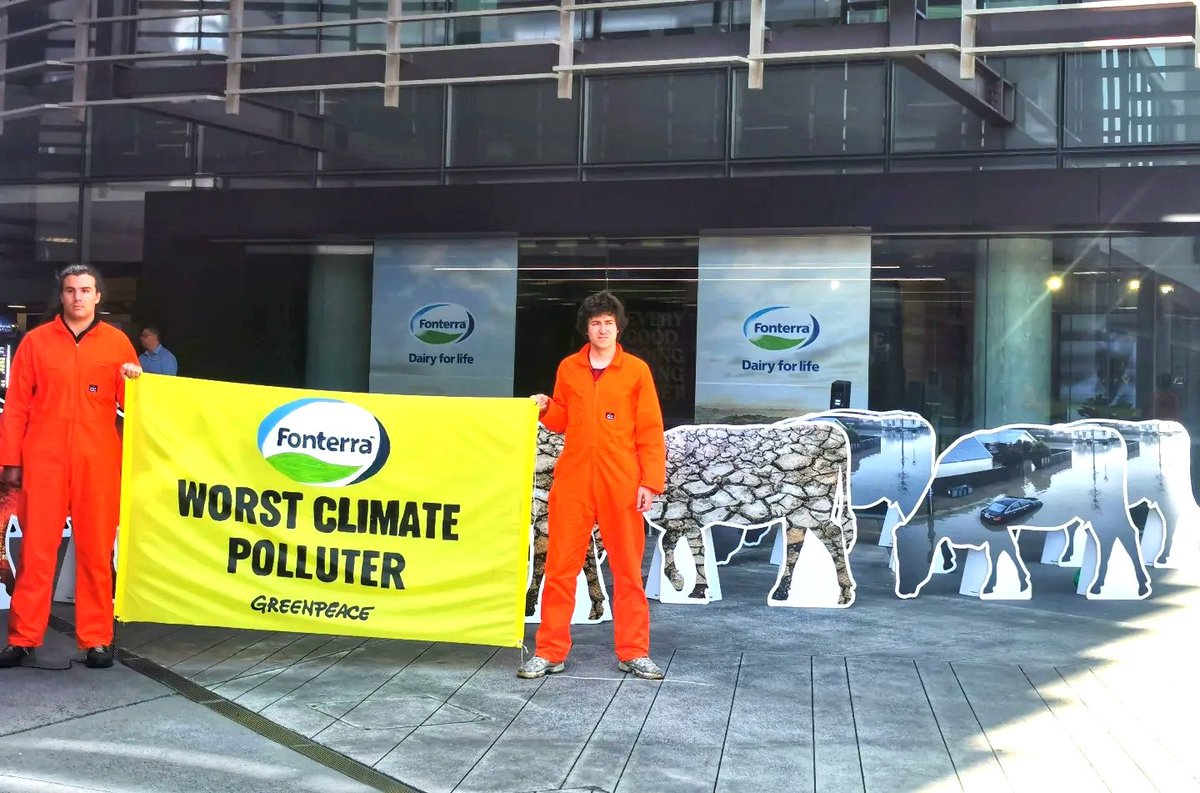 While @Fonterra announces a whopping 170% increase in profit, the rest of us pay. Fonterra is NZ's worst climate polluter. Any political party serious about climate change must regulate big dairy. #climateElection #TooManyCows