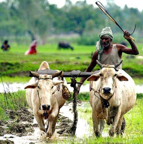 David_B60's tweet photo. உன் வாழ்வை உயர்த்த
உன்னை தவிர
யாராலும் முடியாது
நீயாக விரும்பி உயரவிட்டால்
உன்னை யாராலும்
 உயர்த்த முடியாது... 🔥🔥🔥

இனிய காலை 💜💜 https://t.co/lYb65oJeoc