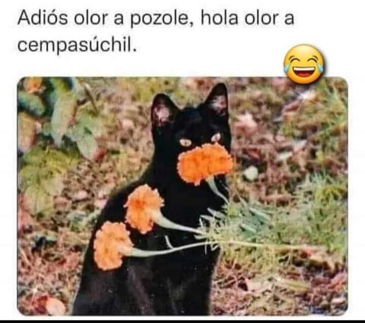 😁😁😆