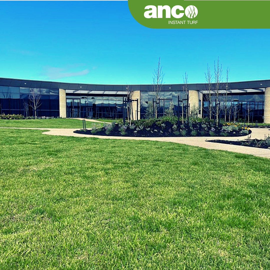 Ancoinstantturf's tweet photo. The weather is definitely beginning to heat up! ☀️🌿
.
Be sure to tag us in your sunny uploads featuring @ancoturf! 
.
Did we tag yours?? Tag yourself and your turf type in the comments!
.
📱 @ancoturf
📞 1800 010 110 
.
@lawnsolutions
.
#Anco #AncoTurf #TurfLawn #NaturalTu ... https://t.co/6lmcQNMvws