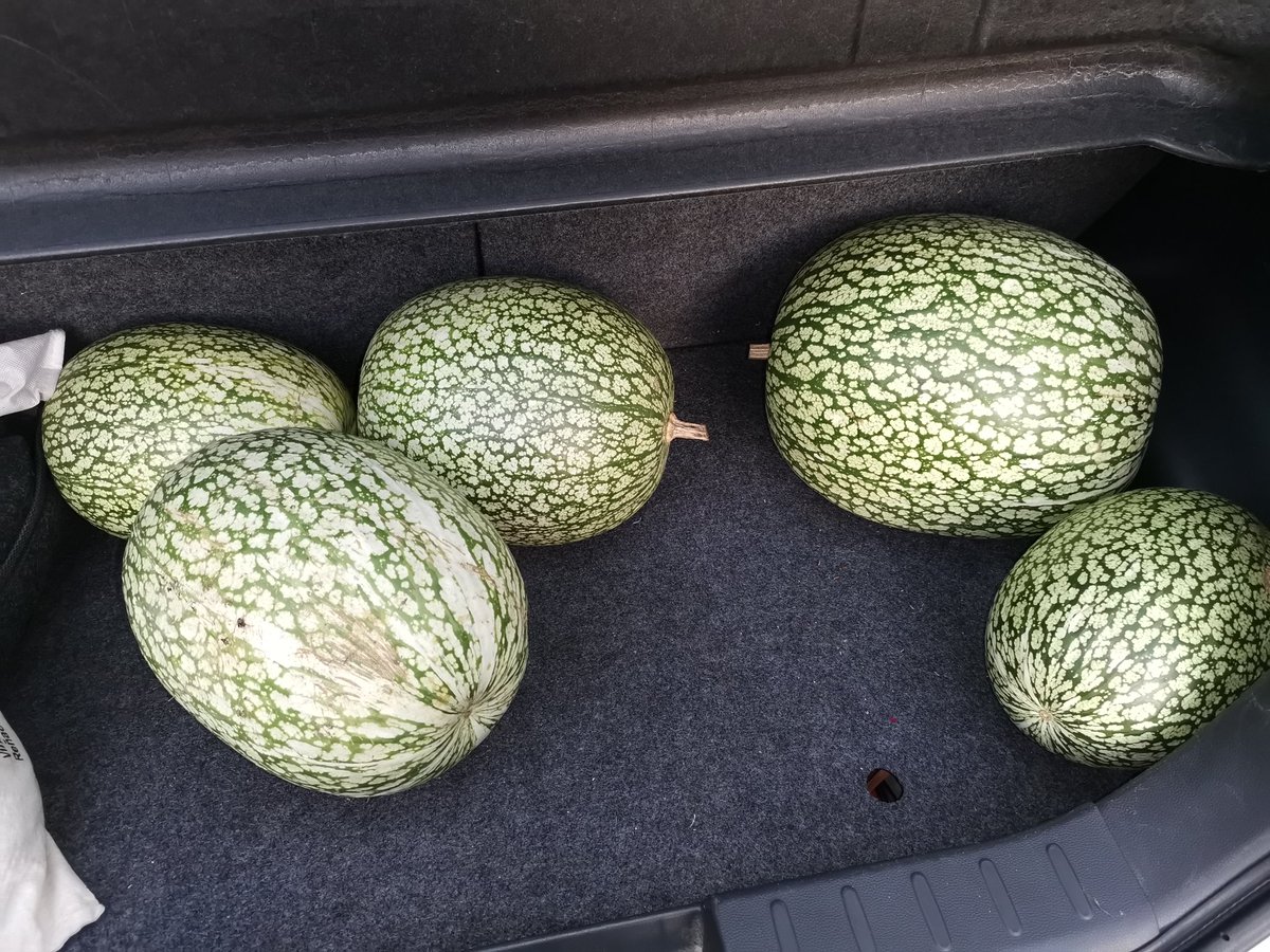 betha777's tweet photo. Fui a dejarle a mi tía unas alcayotas que traje de Quilpué... Me gasté 3 lucas en #TAG Ctm! Desde #laCisterna a #peñalolen en un puro pórtico me pitié casi 1500 pesos... Qué wea hermano? #Santiago #Chile #autopista https://t.co/d6LZtqVfk6