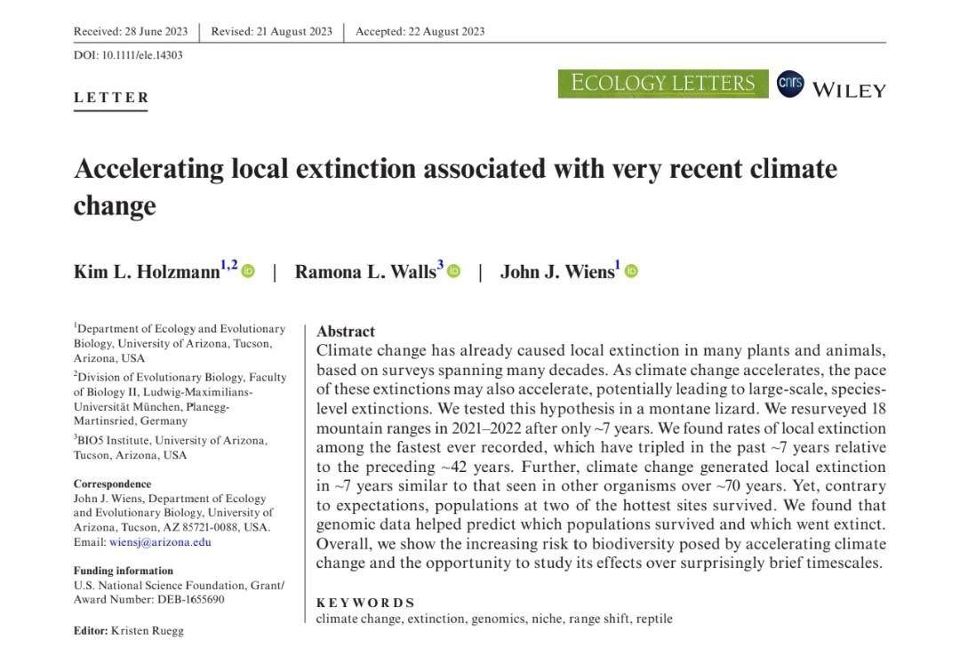 KL_Holzmann's tweet photo. It took a year, but finally the study of my second master's thesis is published!🦎 Interested in climate change, range shifts and genetic variation? We investigated dramatic elevational shifts in lizard populations of the sky islands in Arizona https://t.co/Pjp3g6CpJa