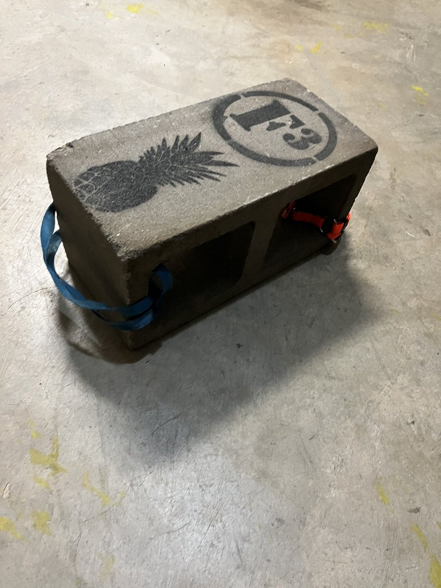 F3Pineapple's tweet photo. Need a little extra grip for IronPax Week 3 and all those thrusters and blockees? Got two medium size dog harnesses? 💥Boom. @F3IronPax @F3IronPax https://t.co/VH861JVKOR