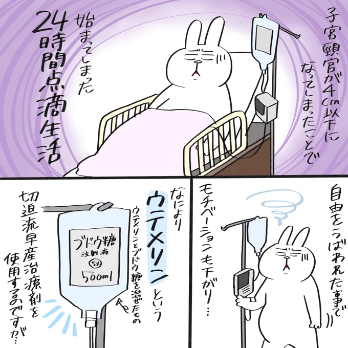 アネティの双子妊娠出産体験記⑦
「出産日」

※プクティ姉の話になります。

#育児漫画 #育児絵日記 