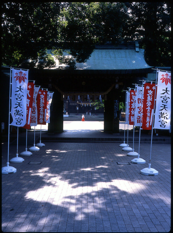 PhotoYossi71539's tweet photo. 赤と白 Red &White
#フィルム #ブローニー #RF645 #神社 #film #中判 https://t.co/44tMPJOHmT