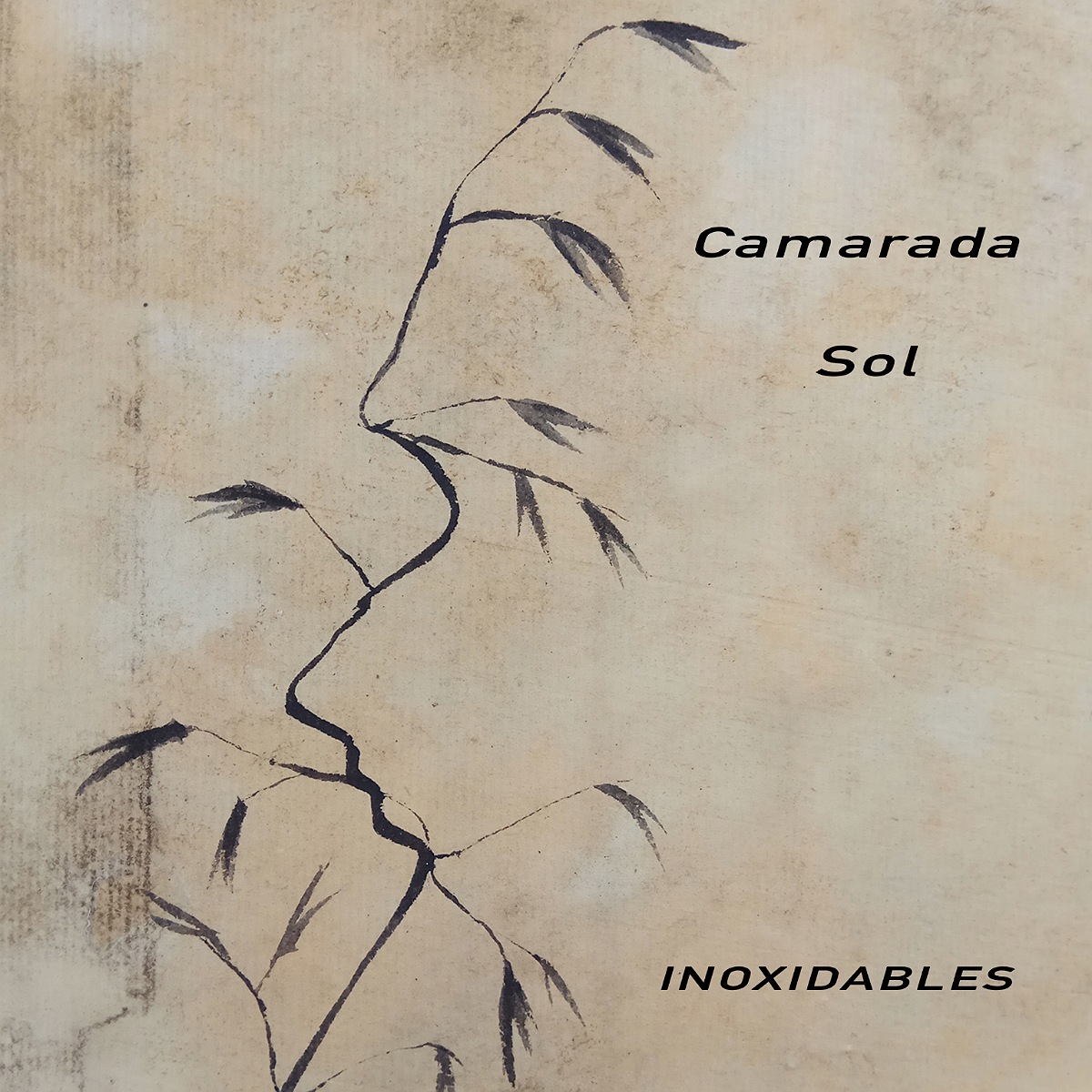 Want to be heard on Eardrum Buzz Radio? - Camarada Sol by @Inoxidables @Inoxidables13 - Send requests and submissions to Bret@eardrumbuzz.net