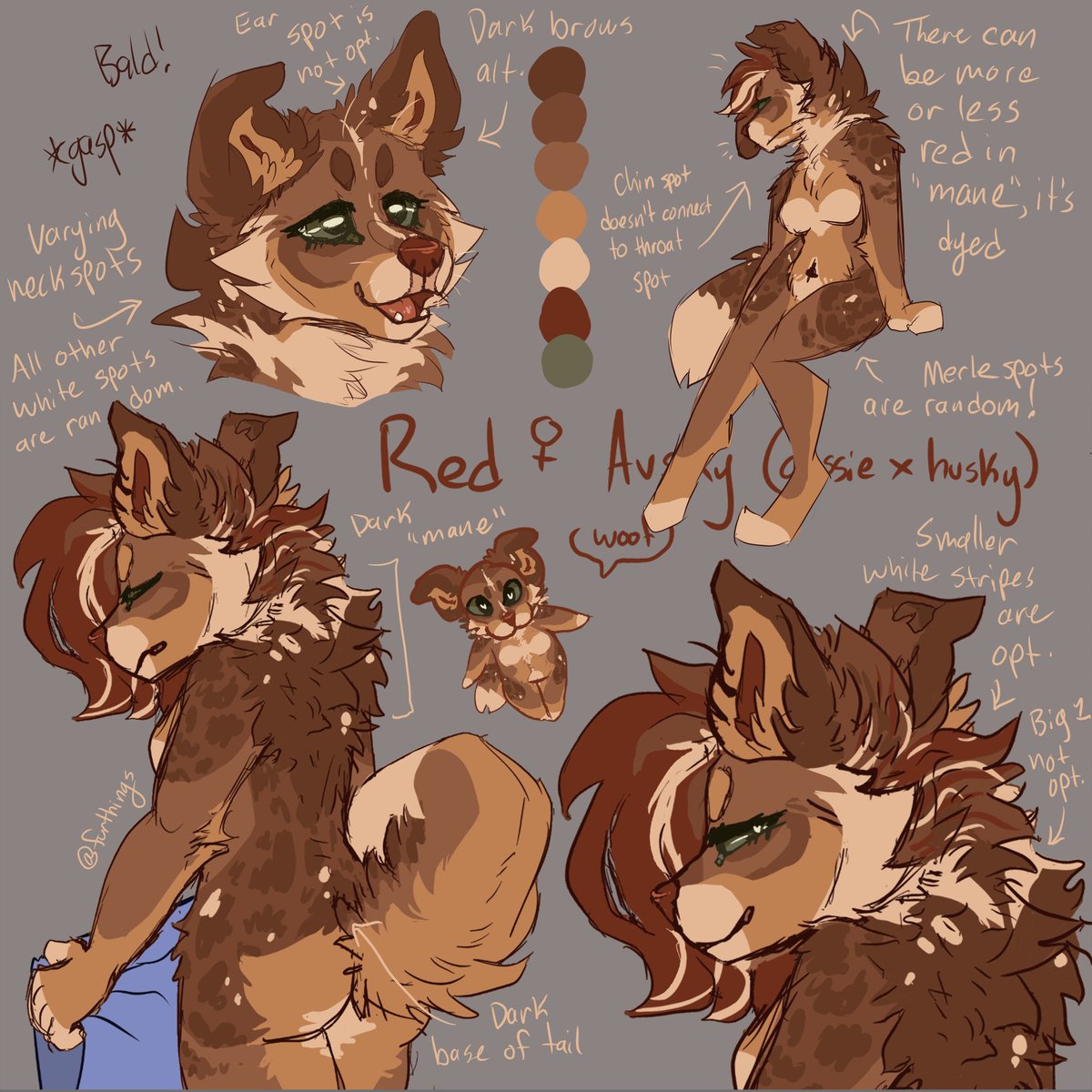dingingle's tweet photo. @skunksjunk I've always been so jealous of ppl who get art of their OCs fucking ngl. It's the ultimate complement dfgjhkj
anyways have some creatures :> They don't have NSFW refs yet, sorry! Your best guess is just as good as mine as for the bits. More info in replies bc word count <3 https://t.co/KGtbToWE7b