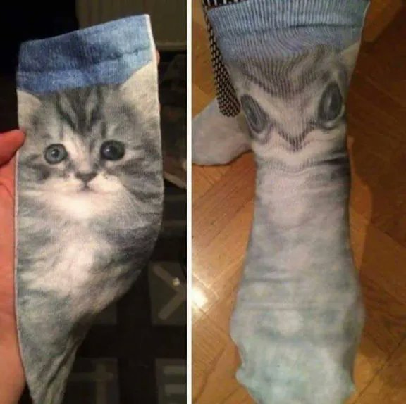 HumansNoContext's tweet photo. https://t.co/lv4y4OBIep