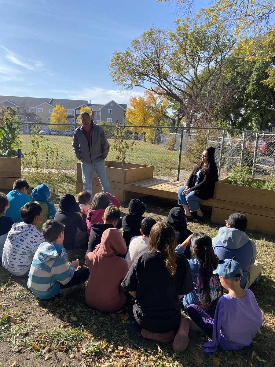 ThomsonSchool's tweet photo. Thomson has been growing tobacco in the front of our school. After learning more about our four medicines we started the process of harvesting the tobacco seeds and drying leaves. https://t.co/0y1bftjRaT