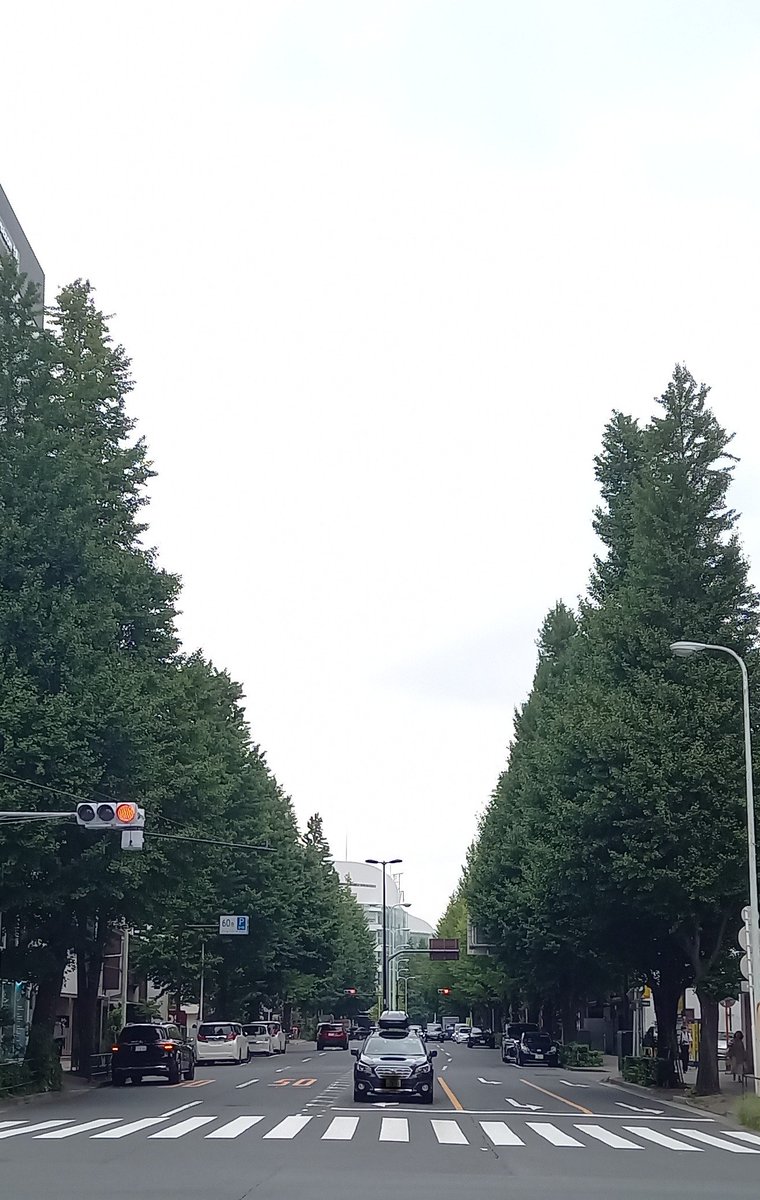 mame_daifu9's tweet image. 秋はステキな街

#YESYESYES
#銀杏みっけ
#秋の気配です