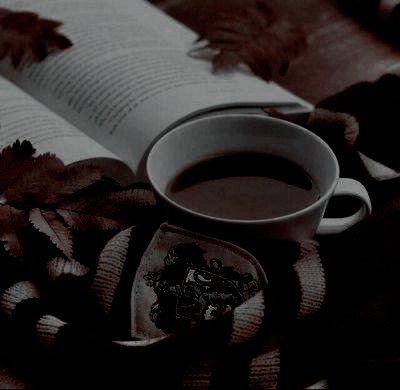 ­ ­ ­ ❛ 𝖛𝐢𝐜𝐭𝐨𝐢𝐫𝐞 𝖜𝐞𝐚𝐬𝐥𝐞𝐲—𝖉𝐞𝐥𝐚𝐜𝐨𝐮𝐫. (@victoireforgryf) on Twitter photo 