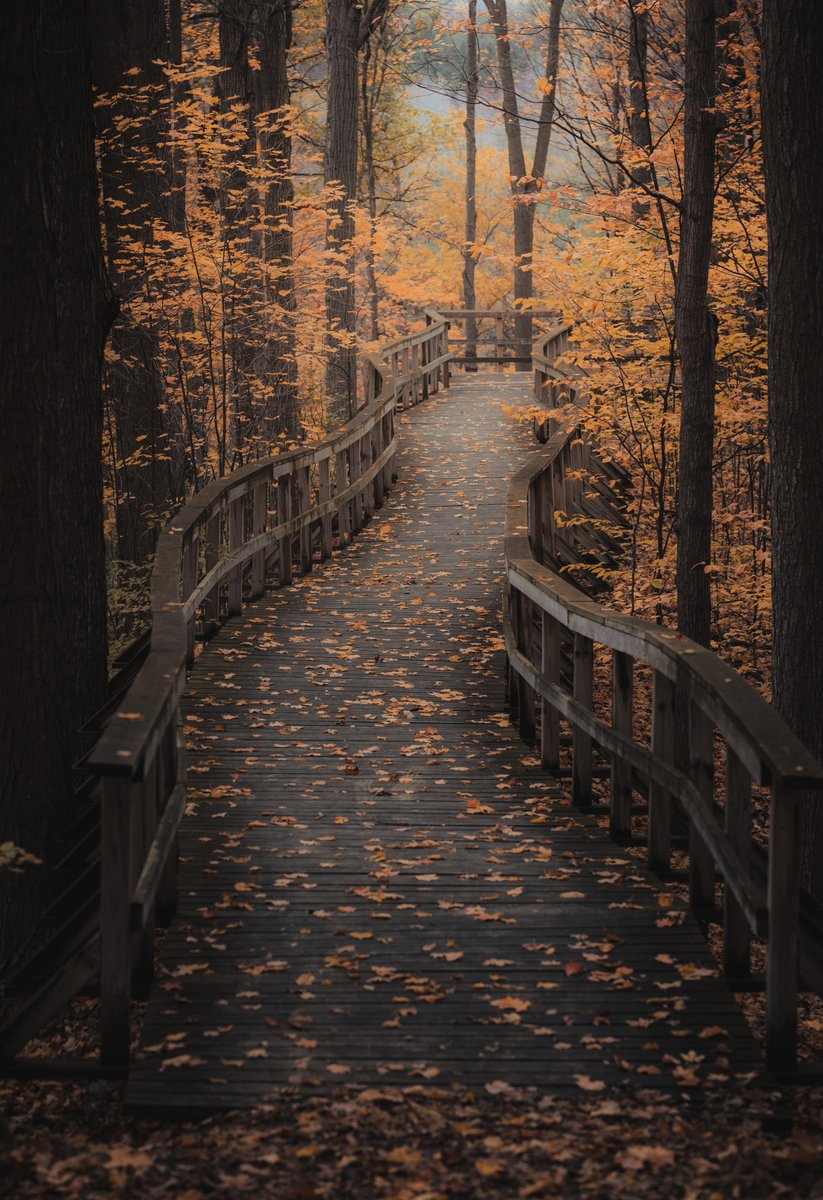 Gil Tamin tweet media