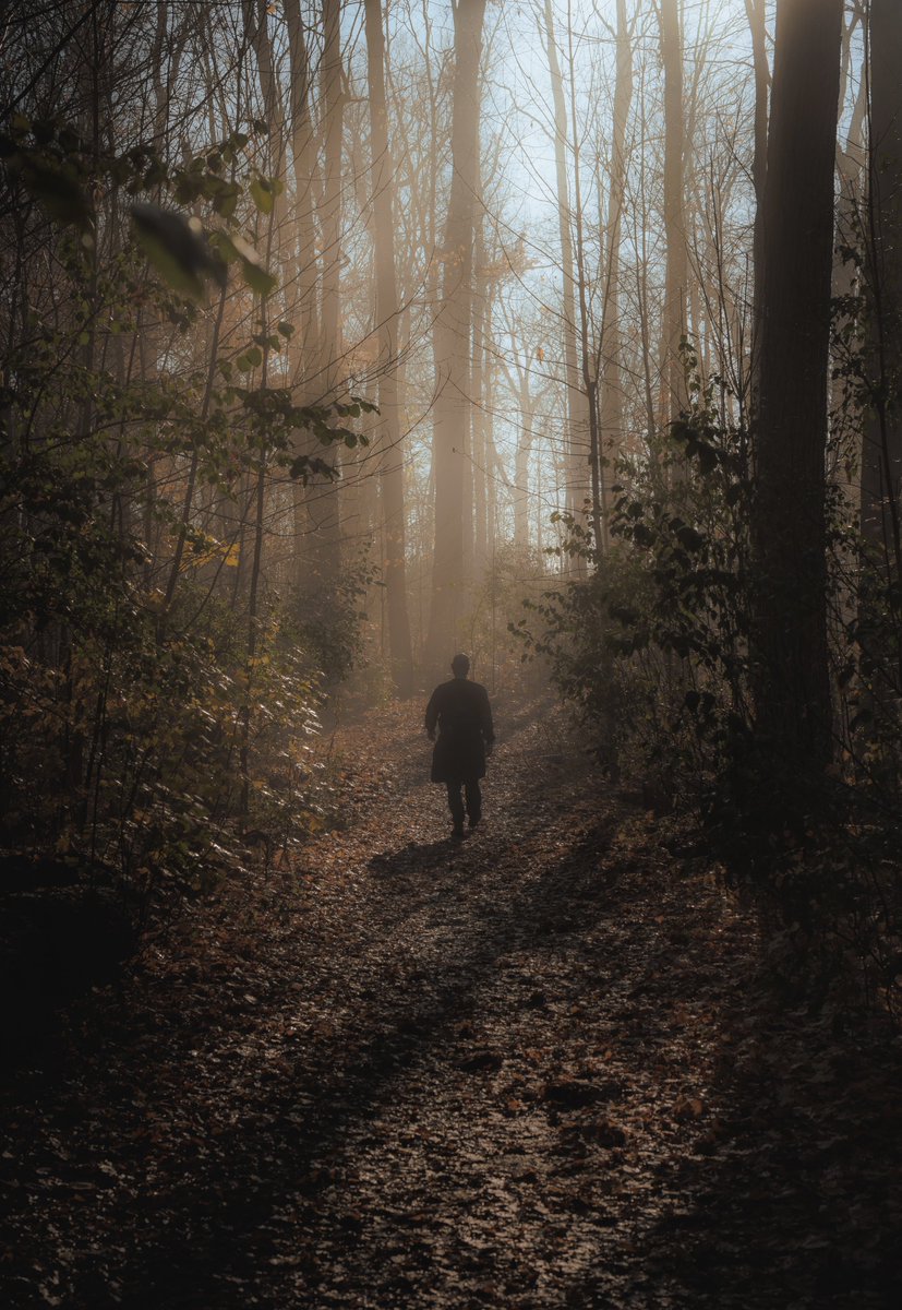 Gil Tamin tweet media