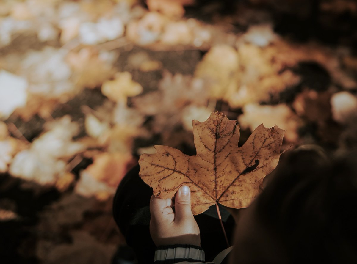 Gil Tamin tweet media