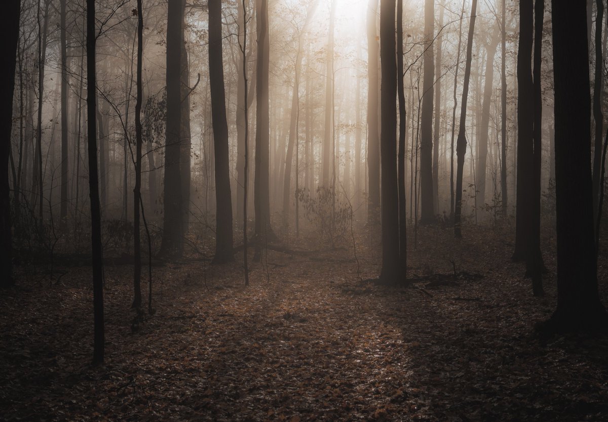 Gil Tamin tweet media