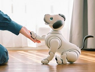 thomasrgrant's tweet photo. 🐶🤖 Teaching an AI dog tricks is absolutely hilarious! 😂🎩 Witness the wacky moments of digital comedy with Social AI from NowSite! 🌟📲 Get ready for a whole new level of entertainment and engagement! 💥😜 #AIComedy #SocialAIDogTricks https://t.co/b0hAbDjKou https://t.co/HafcM2wD1c