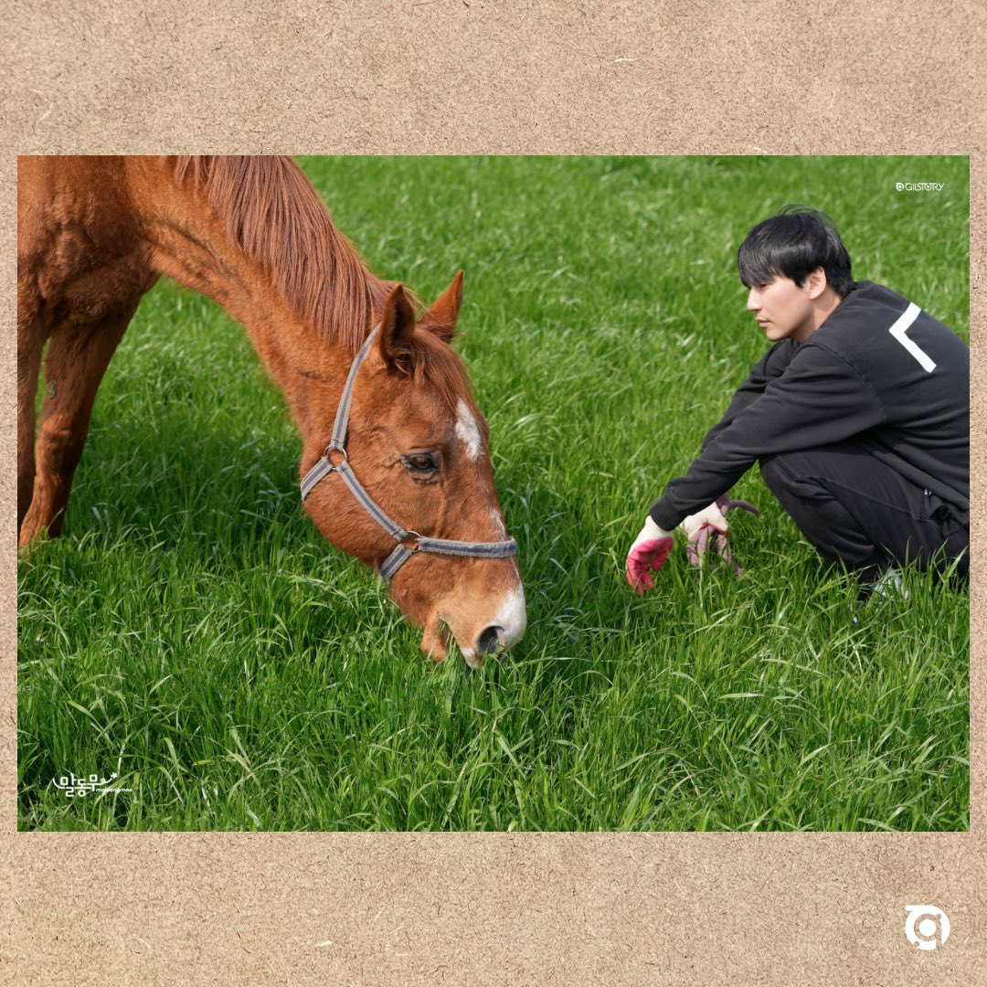 tvN #유퀴즈온더블럭 보셨죠? 
김남길 대표님이 춘자와 별밤이를 위해 상금 100만 원을 #곶자왈말구조보호센터 에 전달하셨습니다.  

🐴 #건강하렴 #춘자 #별밤아 
🙏🏻❤ #말동무캠페인 #길스토리 #김남길 #Gilstory #KimNamGil