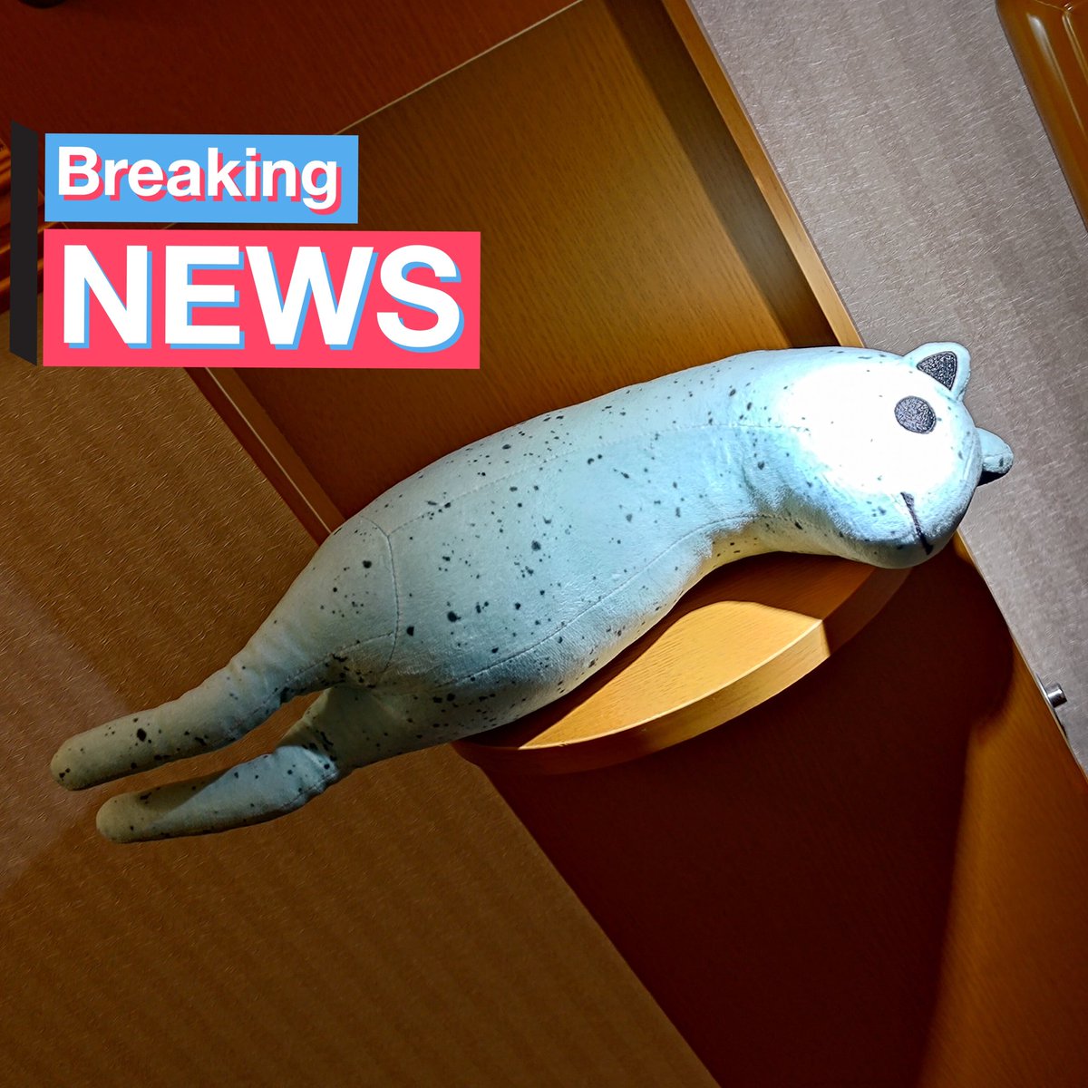 The project was a success!  There are 90 minutes left to order.  Catch Akyo!
#akyo #あきょぬい

Akyo keychains, stands, and plushes. by diVRse Co., Ltd, を Kickstarterで要チェック！ kickstarter.com/projects/divrs…