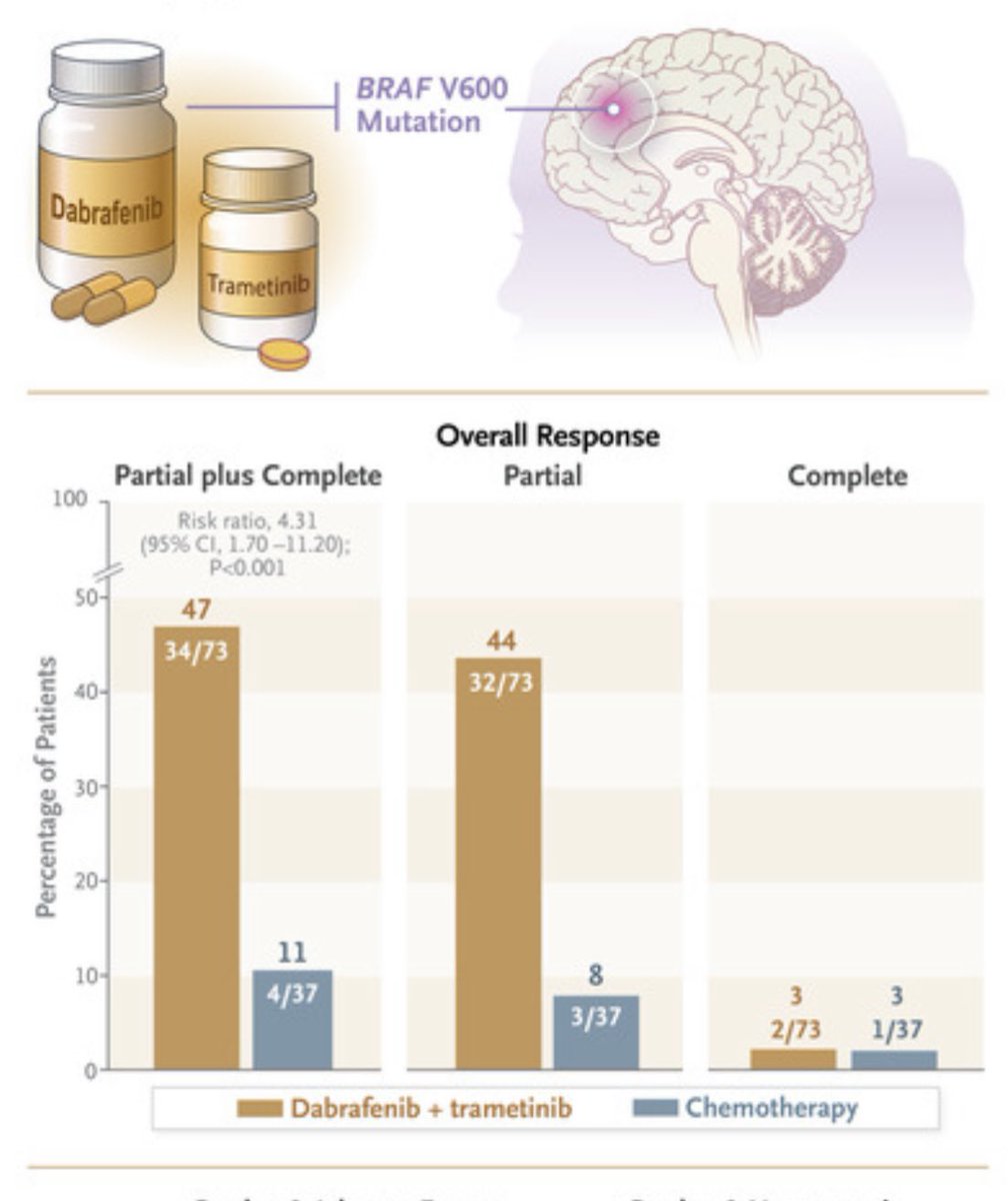 T:👉Güzel haber…

Bu faz 2 çalışmasında* BRAF V600 mutasyonları taşıyan düşük dereceli glioma (beyin tümörü) hastası olan, daha önce hiç tedavi almamış çocuk hastalar rastgele iki gruba ayrıldı. Bir grup “akıllı ilaçlardan” dabrafenib ve trametinib alırken diğer grup standart…